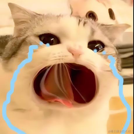 RainCity于2024-02-05 09:47发布的图片