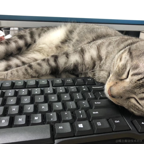 呵呵1于2022-03-03 09:18发布的图片