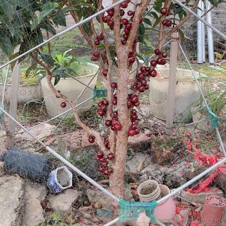 我想中奖于2023-01-26 12:15发布的图片