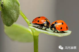 bug现场谜之破案了