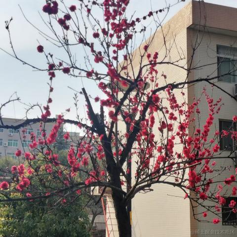 唧唧絮絮于2023-03-29 21:24发布的图片