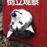 已注销于2021-02-04 09:49发布的图片