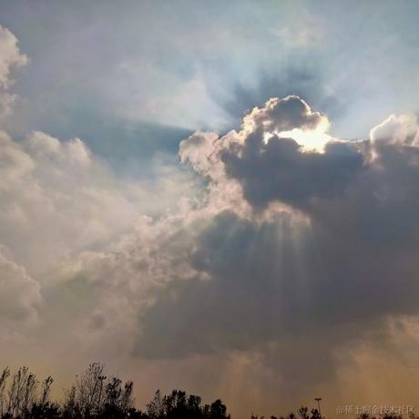 月光之冕于2022-11-27 13:42发布的图片