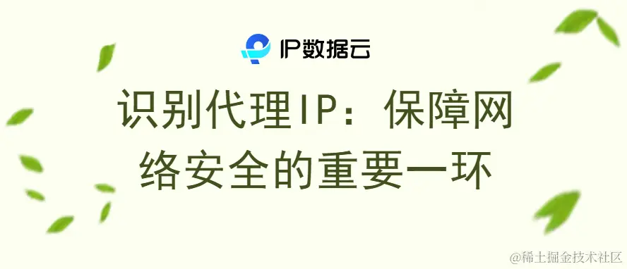 识别代理IP.png