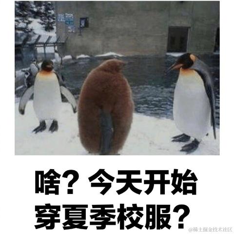 freecats08于2021-09-23 15:13发布的图片