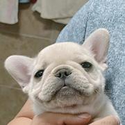 ebcode的个人资料头像