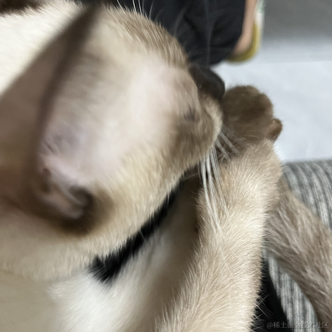 近战仙师于2022-09-20 10:49发布的图片