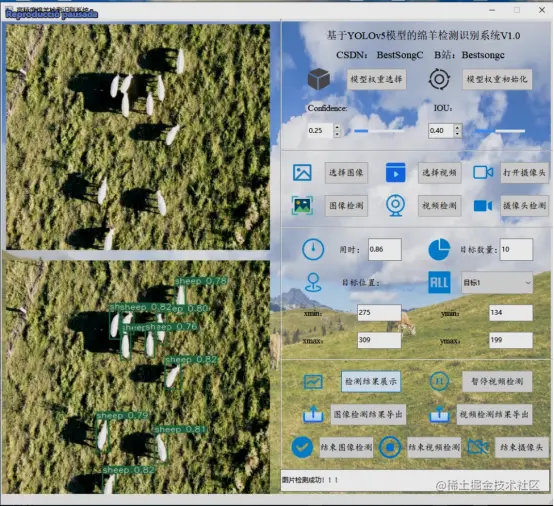 高精度绵羊检测识别系统447.png