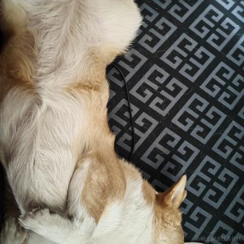 Buda于2022-12-05 21:18发布的图片