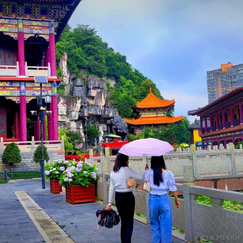 小橙子呀于2022-06-17 13:00发布的图片