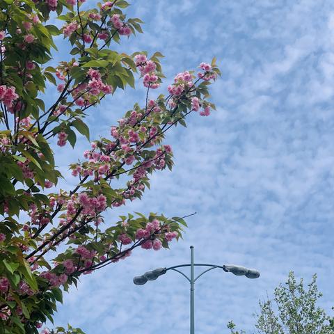 soWhat于2022-04-11 11:06发布的图片