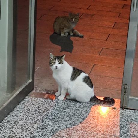 LoveKnowledge于2022-12-03 12:23发布的图片