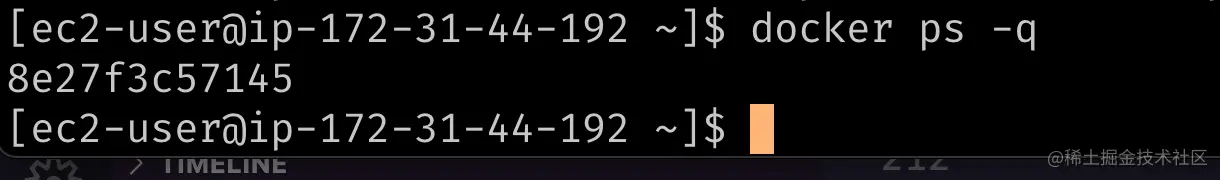 docker-ps-q.png