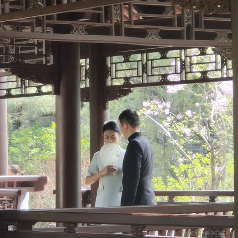 赵元通于2023-04-02 19:23发布的图片