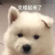 泻药本药于2022-12-06 07:56发布的图片