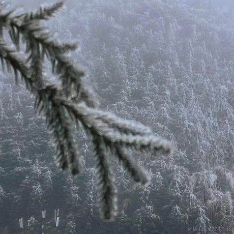 E_fish于2023-01-19 10:10发布的图片