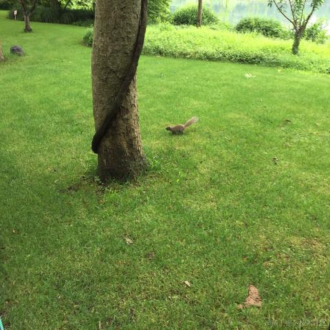 三舟木于2022-08-05 09:57发布的图片