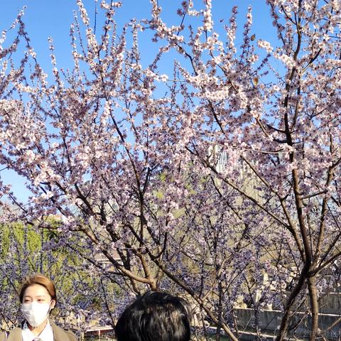 私涙洇于2023-03-30 10:39发布的图片