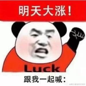 头脑发热于2023-09-14 15:16发布的图片