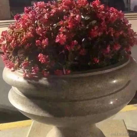 爱薪掘萝于2021-08-14 13:51发布的图片