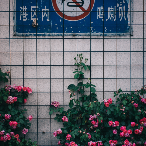Ton于2023-05-12 13:36发布的图片