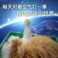 糖醋拐杖于2023-08-17 16:08发布的图片