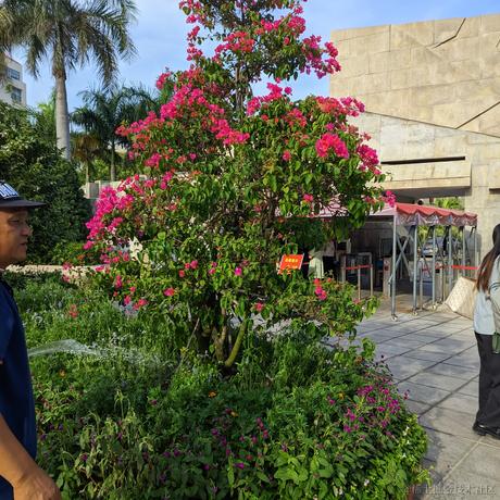 bunnybell于2023-06-21 23:38发布的图片