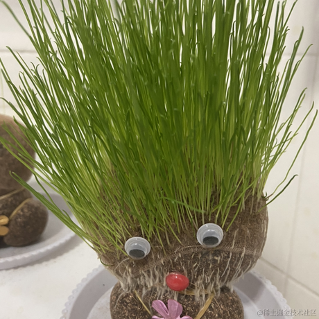 datafuns于2022-09-02 07:46发布的图片