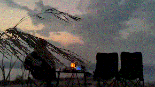 孤单1.gif