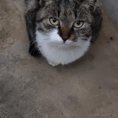 寸光于2022-12-25 07:08发布的图片