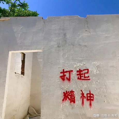 蜻蜓队长Guan于2021-07-08 11:26发布的图片