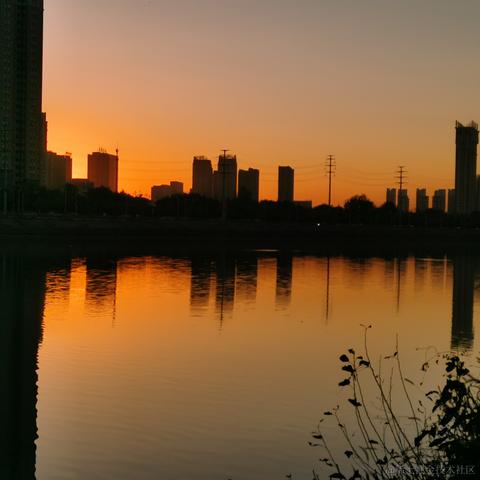 月季花于2022-11-30 10:03发布的图片