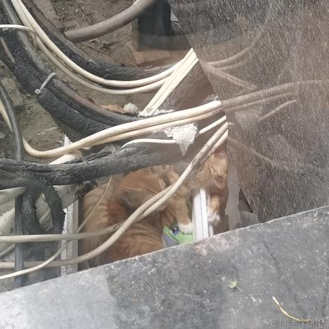 泊浮目于2021-07-26 12:46发布的图片