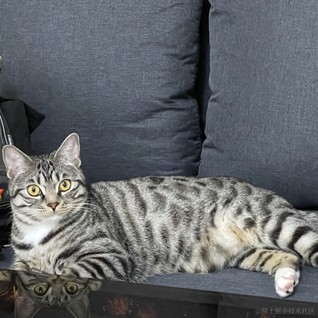 小翁小翁百万富翁于2022-12-31 15:34发布的图片