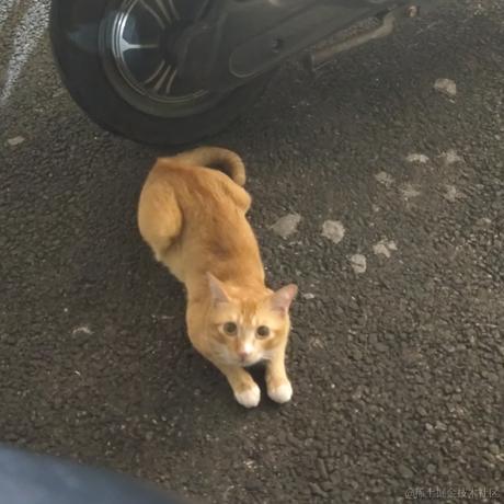 小小小伞于2022-11-28 11:51发布的图片