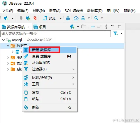 2022-05-07-DBeaver教程 (10).png