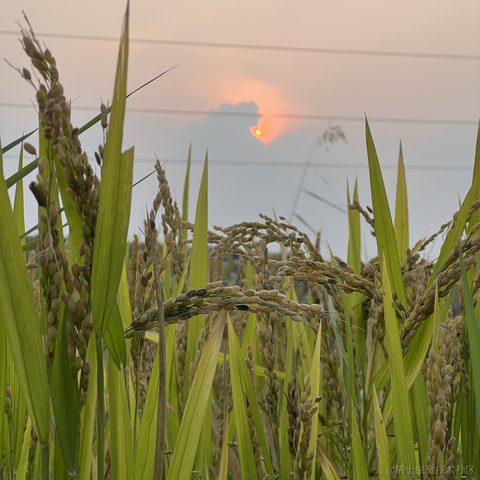 研究员于2023-09-16 18:31发布的图片