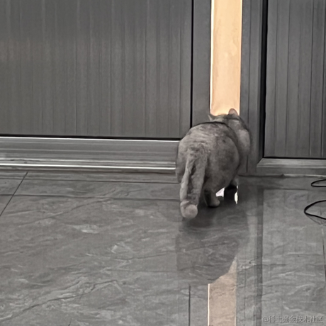 啾啾哼于2023-05-13 09:23发布的图片