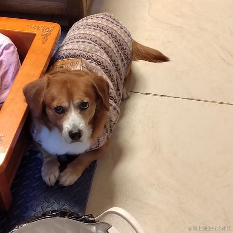 锅里没有水母于2022-12-25 16:09发布的图片