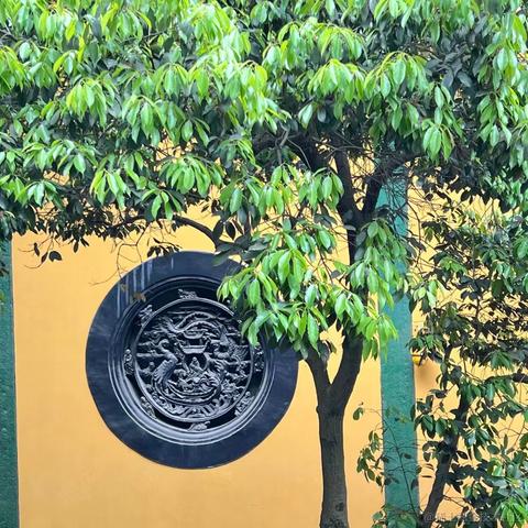 唧唧絮絮于2023-04-17 09:10发布的图片
