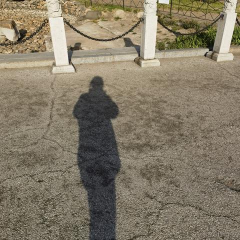 太行山上的一棵百蓝根于2023-04-18 12:22发布的图片