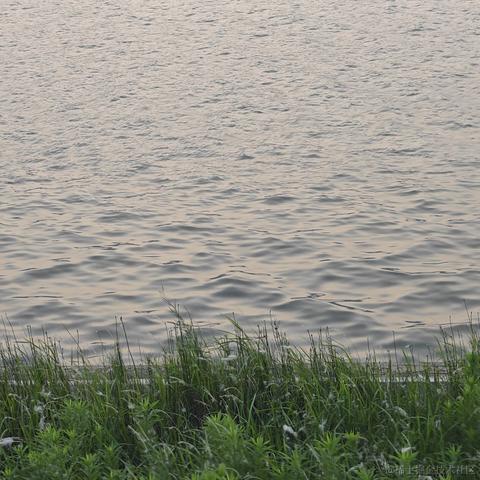 尼古拉斯阿柴于2023-06-01 18:41发布的图片