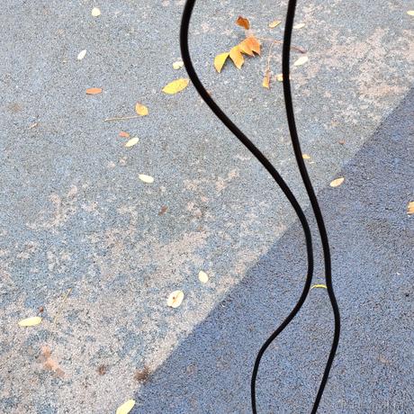 奈亚拉托提普于2022-11-29 21:51发布的图片