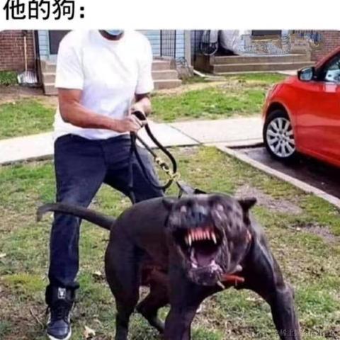 属鼠术于2021-01-29 17:25发布的图片