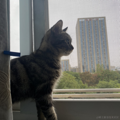 avavaava于2022-11-19 12:39发布的图片