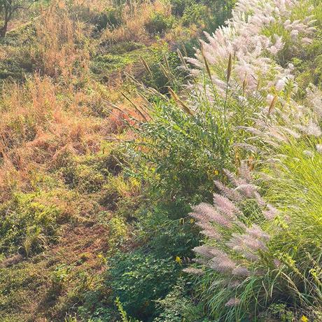 kulapoi于2022-12-14 15:51发布的图片