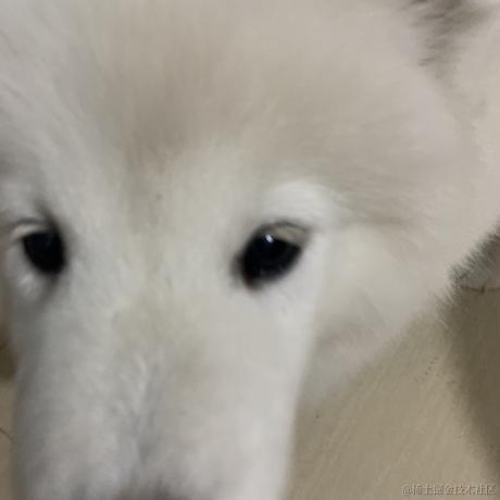 苏煜于2023-07-31 17:54发布的图片
