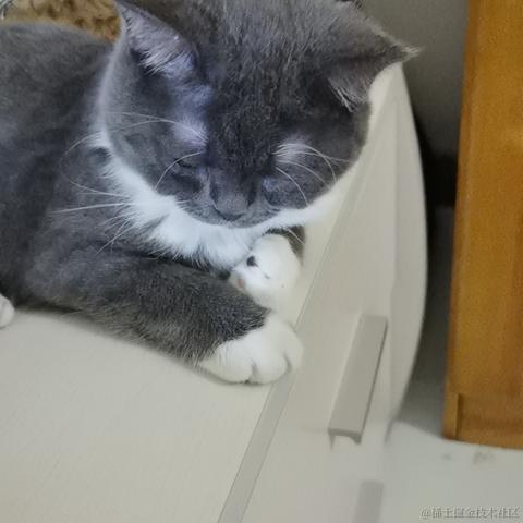 小菜鸟的成长之路于2023-06-10 22:55发布的图片