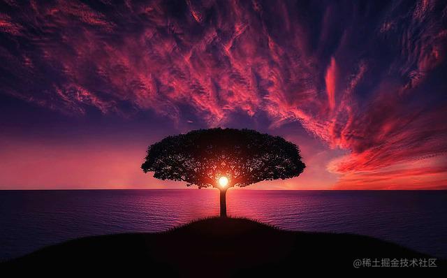 Maxwell前端技术栈