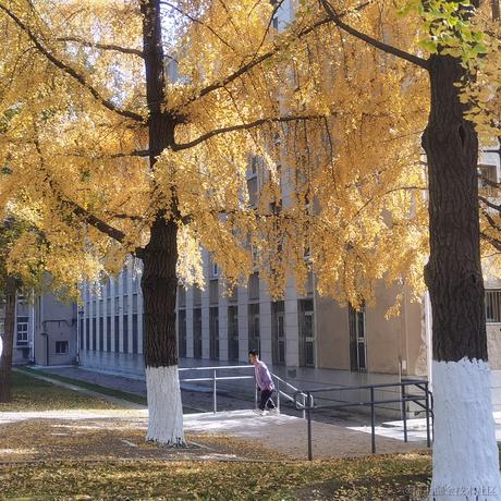 叮咚咚咚于2022-10-27 22:25发布的图片